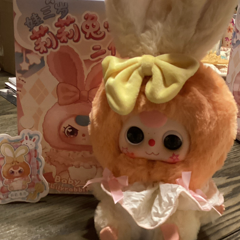 Lilyrabbit Baby Rabbit Small Plush Stuffed Animal w/ Box Easter