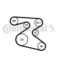 Continental Ctam 6PK1873K1 Rillenriemensatz FüR Seat, Skoda, VW