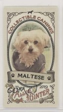2019 Topps Allen & Ginter Collectable Canines Minis Maltese #CC-25 0v7