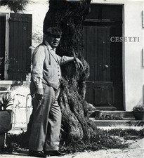 Catalogo della Mostra: - Giuseppe Cesetti Opere recenti.  