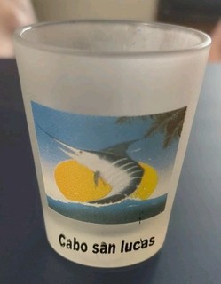 Cabo San Lucas Mexico Frosted Shot Glass Baja California