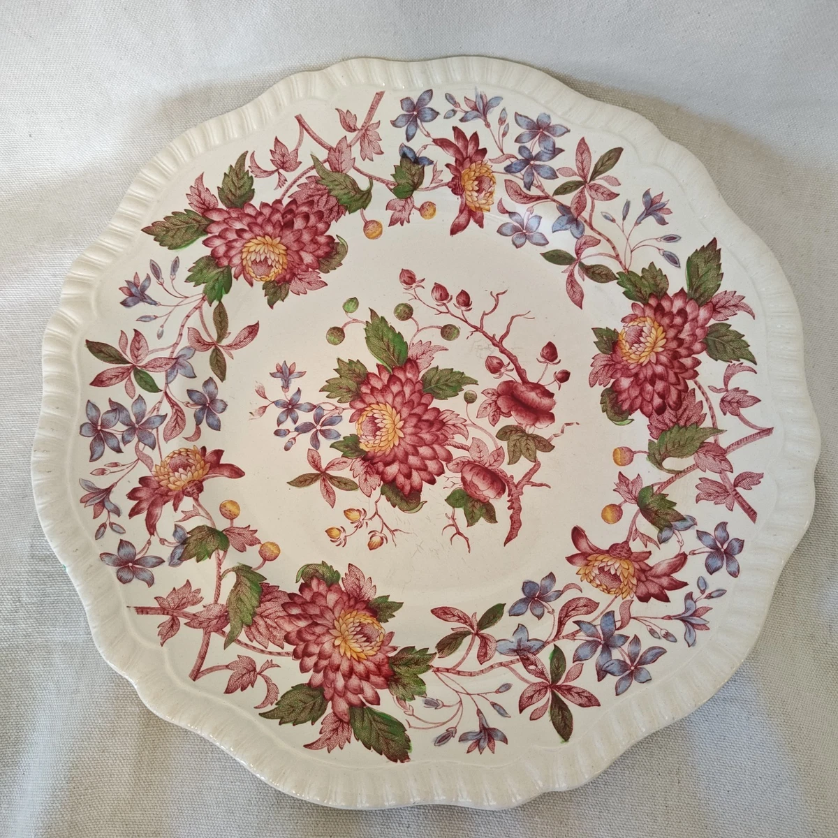 スポード　spode フルーツヘブン　大皿　2枚　蝶々　トロピカル spode aster products for sale | eBay