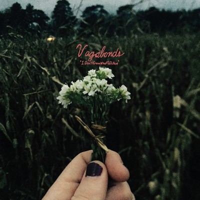 Vagabonds I Don t Know What To Do Now (CD)