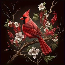 Anuver Cardinal Diamond Art Kits for 11.8 inches x inches, Multicolor
