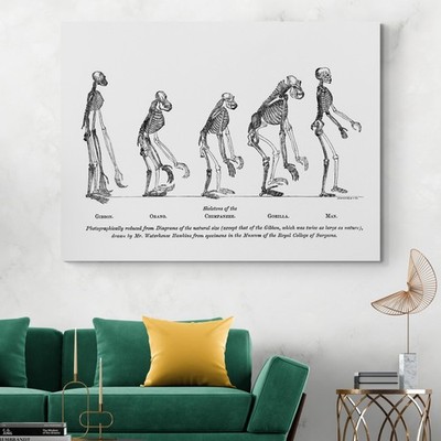 March of Progress   Human Evolution Anthropology & Natural History Print
