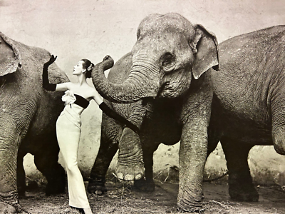 dovima with elephants evening dress by dior Dovima with elephants, evening dress by Dior, Cirque d'Hiver, Paris | All Works