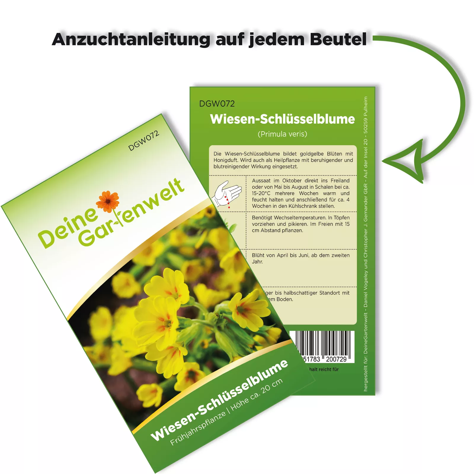 Bild 3 von 6