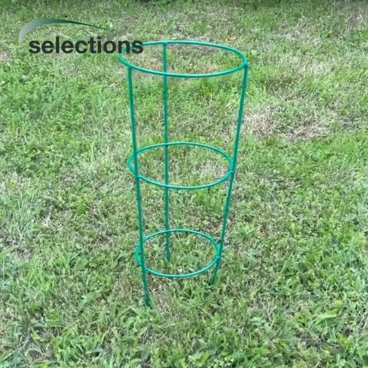 Pack of 5 Metal Conical Garden Plant Support Rings (48cm) Herbaceous