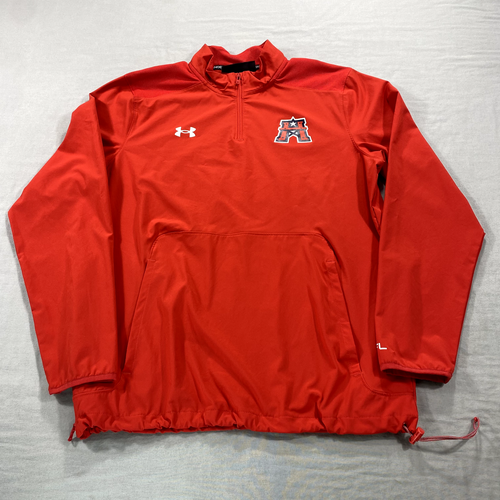 Veste Casual Homme Printemps Automne Bande Colorée Capuche Travail Polyester Fermeture Éclair Manches Longues Élégante Jeune