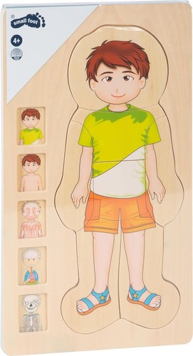 small foot 5842 wooden puzzle anatomy boy, skeleton, muscles, bloodstream and in - Picture 3 of 10