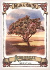 2021 Topps Allen and Ginter MLB Baseball STANDARD INSERT Cards Pick From List