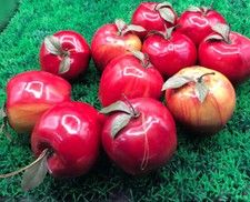 Bundle of 11 Apple Tree Ornaments w/ Hanging Cord, Red Delicious