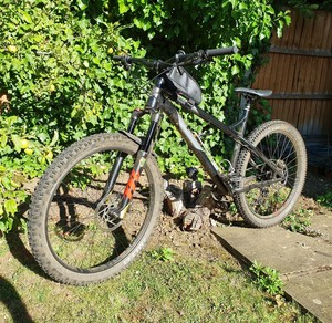 ragley marley 1.0 2019