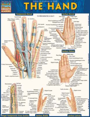 Hand by BarCharts Inc: New