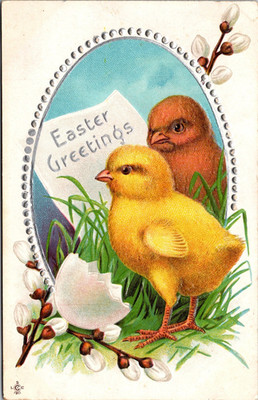 Vintage Easter Postcard Two Chicks Egg Shell  Embossed c1912