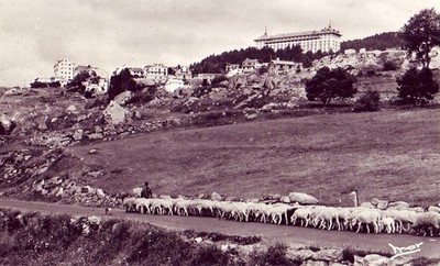 CPA 66 PYRENÄEN ca. Prades FONT-ROMEU Odeillo-Via. Schäferhumanz Schafe
