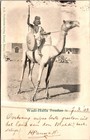 1903 Africa Sudan Bisharin Warrior Postcard Cover to Zeist Netherlands — photo 1