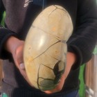 6.9LB Natural quartz black turtle shell egg energy healing — photo 9