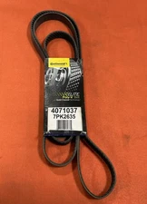 NEW 4071040 Serpentine Belt- Continental Elite / Goodyear Gatorback Belt