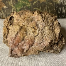 Missouri  Druzy Quartz  Natural  Fossilized Coral Stone Crystal