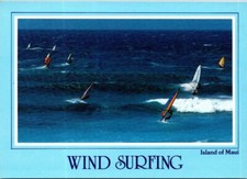 Vintage Windsurfing In Maui, Hawaii Postcard