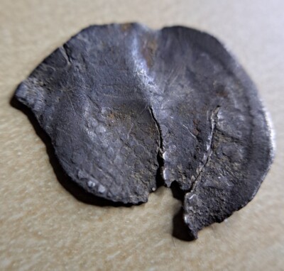 James I Silver Penny Silver Maundy Early Hammered Coin 1619 Rose & Thistle