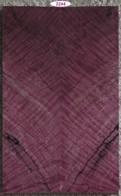 Stabilized Hot Pink Fiddleback Blackline Spalt Maple scales #2244, 6'' x 1 7/8''