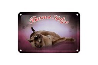 Blechschild Katze 18X12 Cm Burma Katze Metall Deko Schild