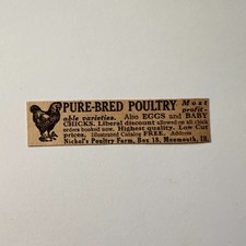 Nichol's Poultry Farm Pure-Bred Poultry Low Prices Monmouth IL 1923 Ad 5AL1-S35