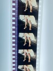 35mm Short Film Oscar Winner Precious Images Updated 1996 Version 7min. plus — photo 5