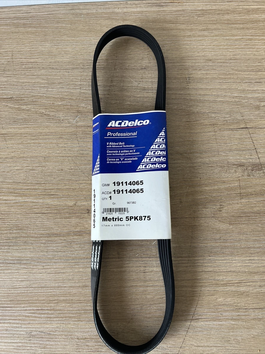 GM 19114065 V-Ribbed Serpentine Belt | eBay