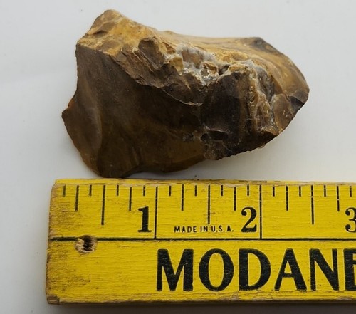 PETRIFIED WOOD COLORADO 2.5" 2.8 oz. - 第 4/4 張圖片