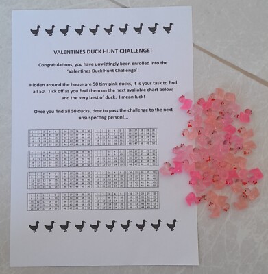 The ''Valentine's Mini Duck Hunt'' Challenge Game - Verstecken Sie 50 rosa Enten für jemanden