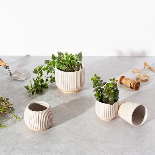 Grooved Planter Small Off White Assorted - Picture 4 of 9