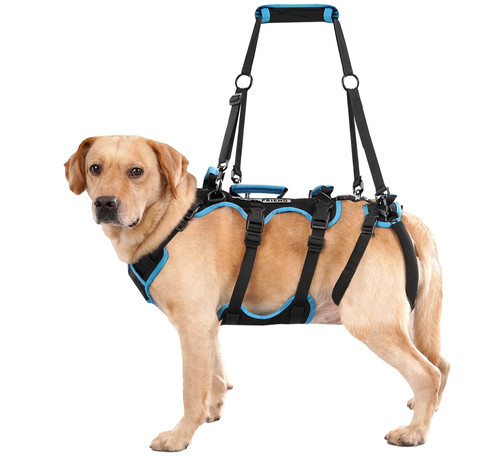 Lafoty Dog Lift Harness XL  Male Back Leg Support Mobility Aid