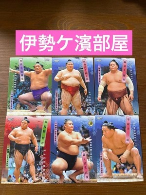 Sumo BBM Card Isegahama Stable Set Atami Fuji Hakuroho Yoshinofuji