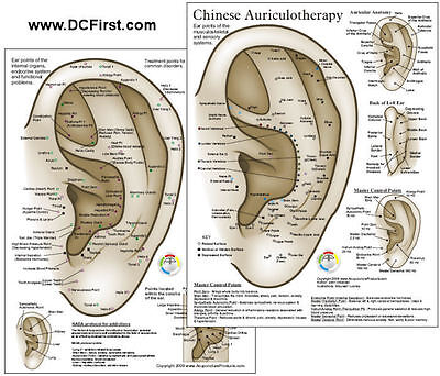 Auriculotherapy Chart Points