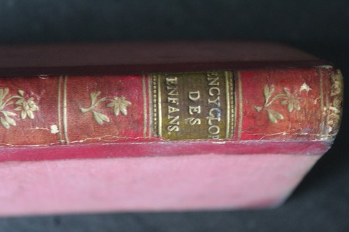(171) Encyclopédie des enfans avec cartes et figures AN II - Picture 8 of 20