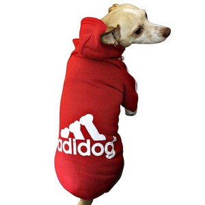 adidog jumpers