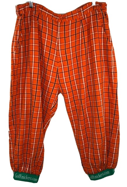 raw silk palazzo pants