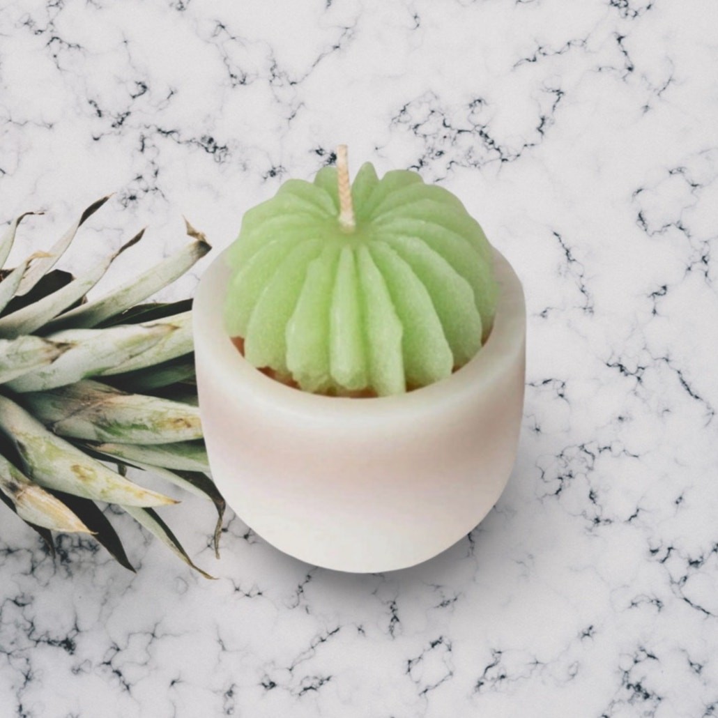 Vance Kitira Succulent Candle - Assorted