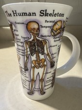 Dunoon Glencoe Fine China THE HUMAN BODY Mug ...