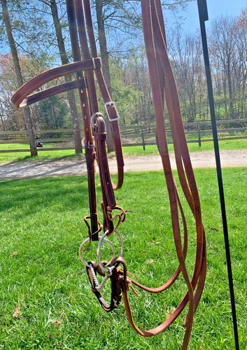 Complete Browband Snaffle Bit Bridle, Twisted Wire Bit, Chin Strap, Split Reins