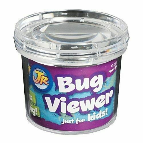 Bigjigs Magnetic Fun Bugs – Holzspielzeug Mit 10 Insekten & 2 Magnetstäben Zum Angeln, Fördert Motorik