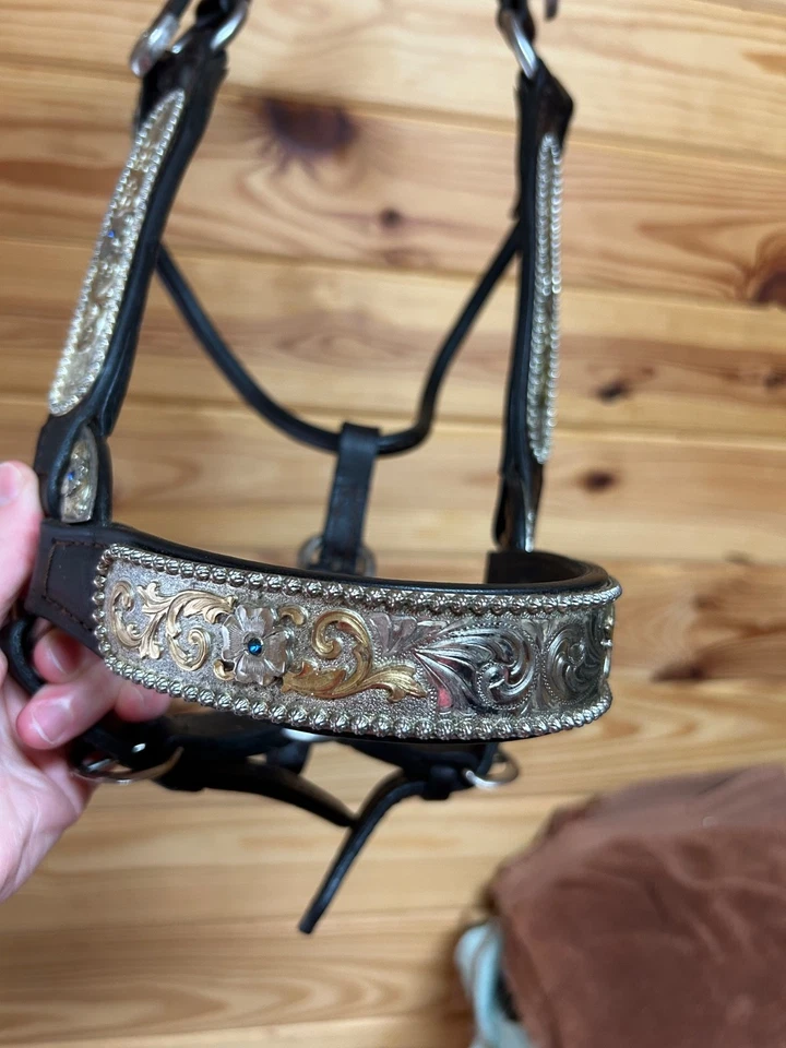 Halter Kathy’s Showmanship, corte Congreso, tamaño completo con piedras azules Foto 3 de 4