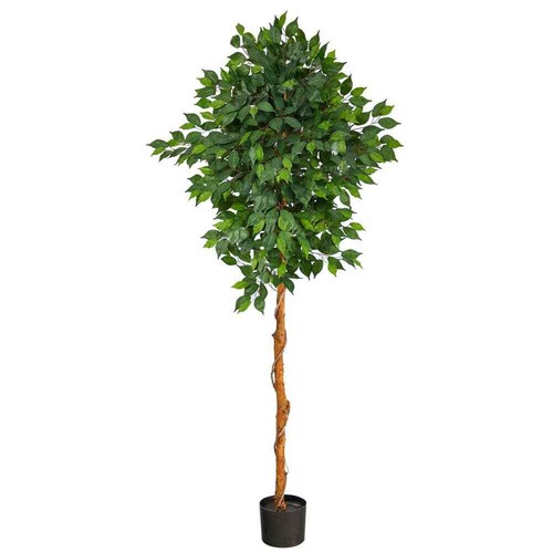 6 Ft. Artificial Ficus Tree - Picture 7 of 12