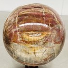 Natural Petrified Wood Polished Stone Quartz Crystal Sphere Ball Healing 3600G — photo 6