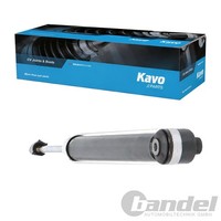 Kavo Parts Gas-StoßDÄMpfer Hinten Passend FüR Audi A6 Skoda Superb VW Passat