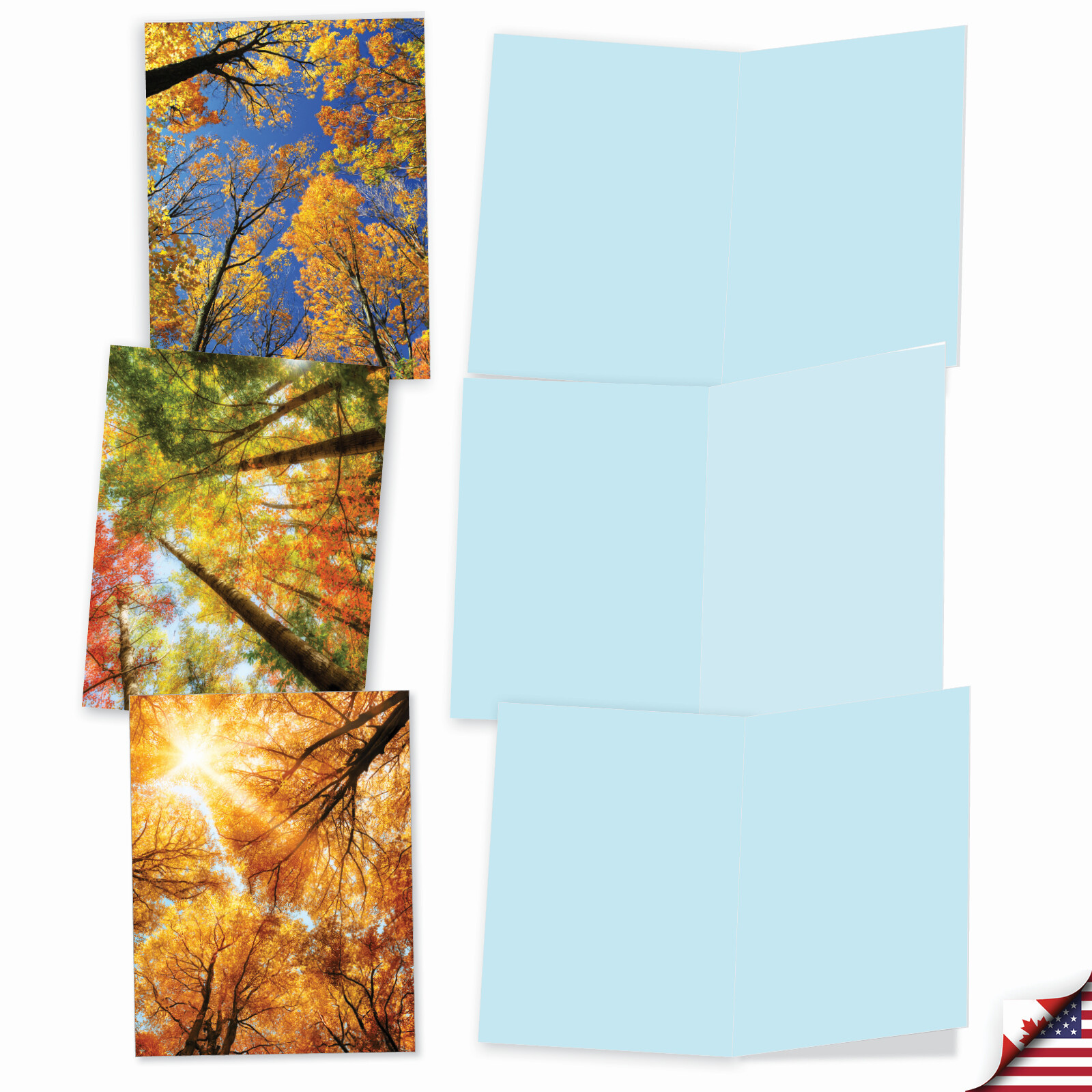 10 Assorted All Occasion Blank Note Cards with Envelopes - OVER THE TOP ...