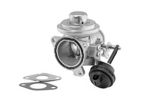 AGR Ventil Borgwarner (Wahler) 7293D FüR Audi A2 A3 Polo Octavia Golf Bora Seat
